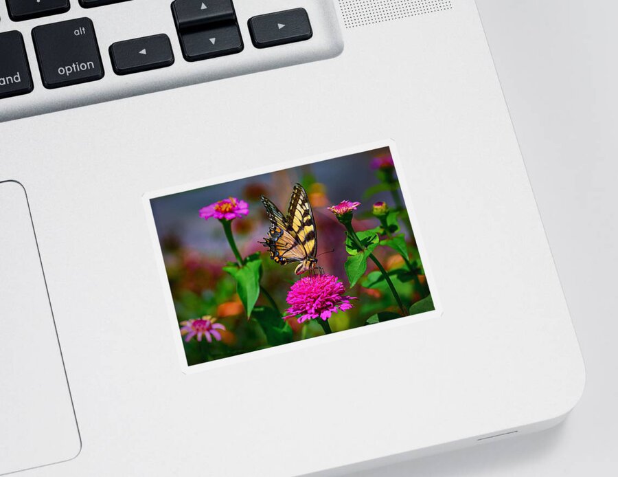Butterfly Sticker featuring the photograph In the Garden by Carolyn Mickulas