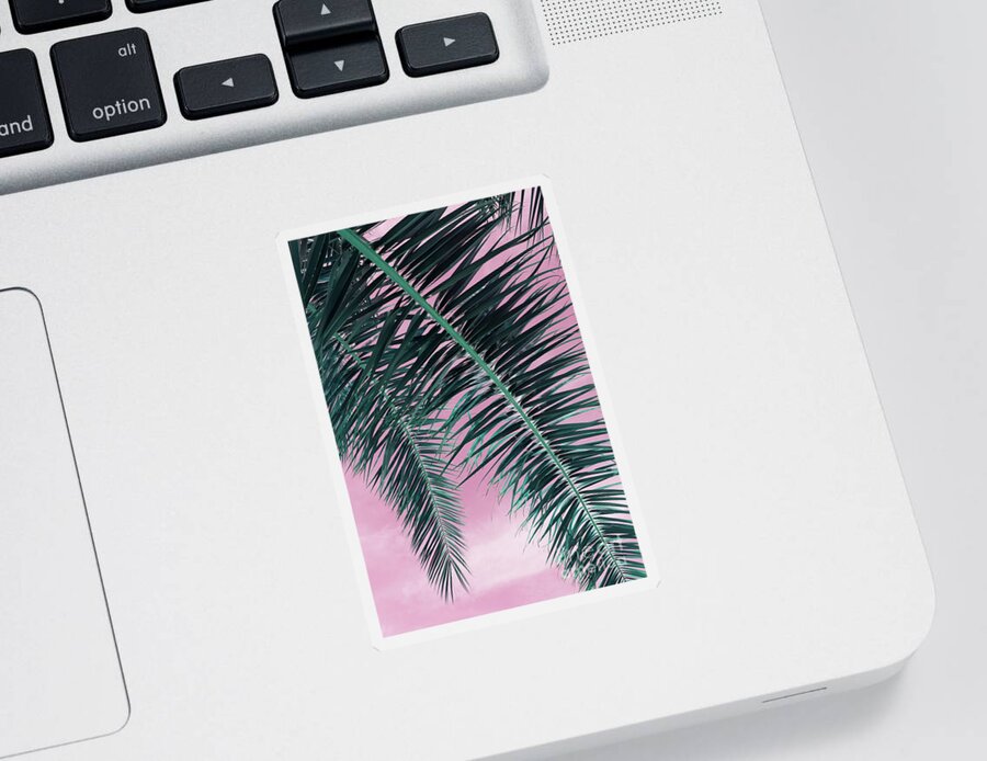 Palm Leaf Sticker featuring the photograph In the shade of a date palm, leaves and pink sky by Adriana Mueller