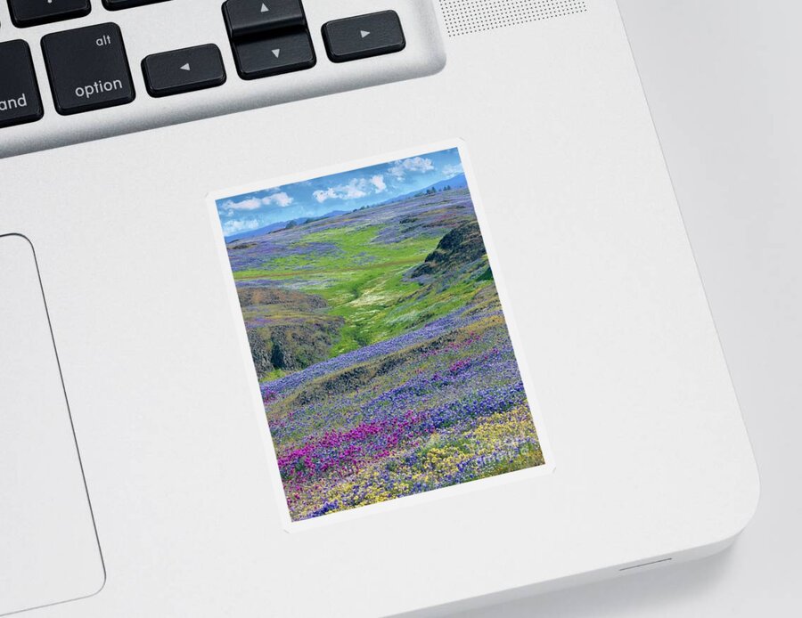 Wildflowers Sticker featuring the photograph In the Valley of Wildflowers by Lisa Billingsley