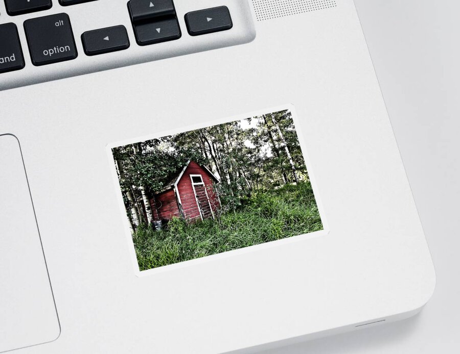 Barn Sticker featuring the photograph In The Woods by Carmen Kern