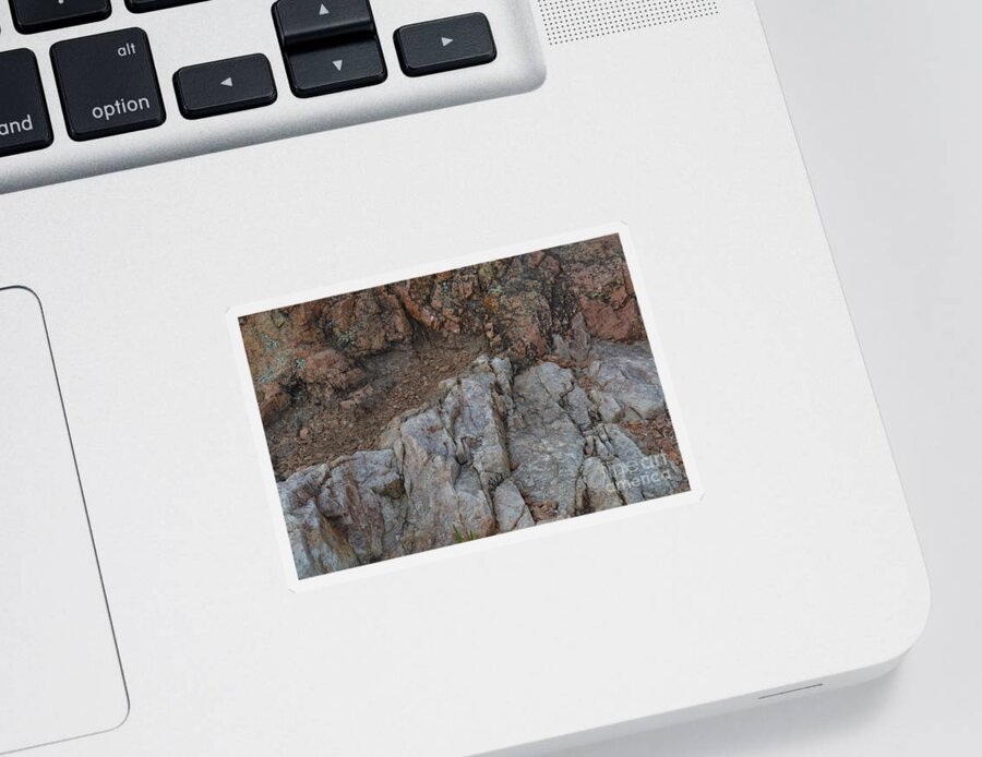Texas State Park Photography Sticker featuring the photograph Inks Lake Spring Valley Gneiss by Expressions By Stephanie