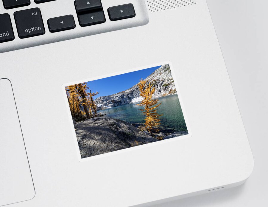 Core Sticker featuring the photograph Inspiration Lake Larch by Pelo Blanco Photo