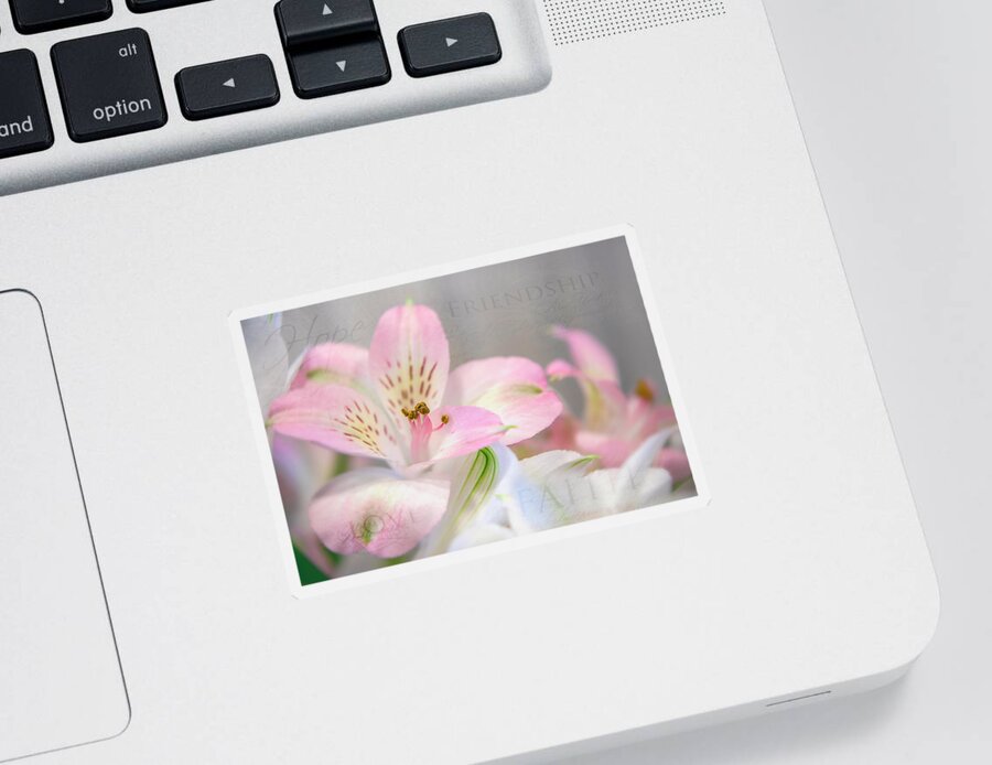 Flower Sticker featuring the photograph Inspirational Alstroemeria by Teresa Wilson