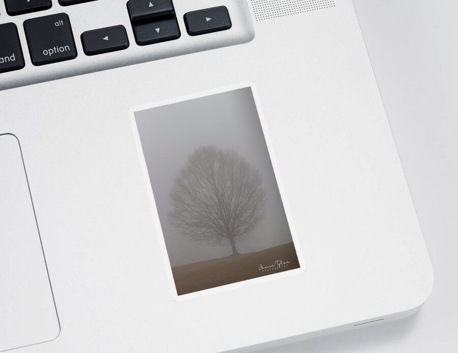 Fog Sticker featuring the photograph Into the fog by Jamie Tyler