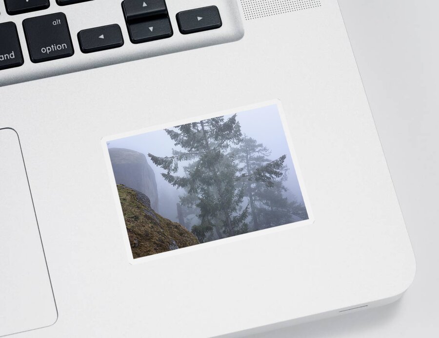 Fog Sticker featuring the photograph Into the Mystic by Randy Hall
