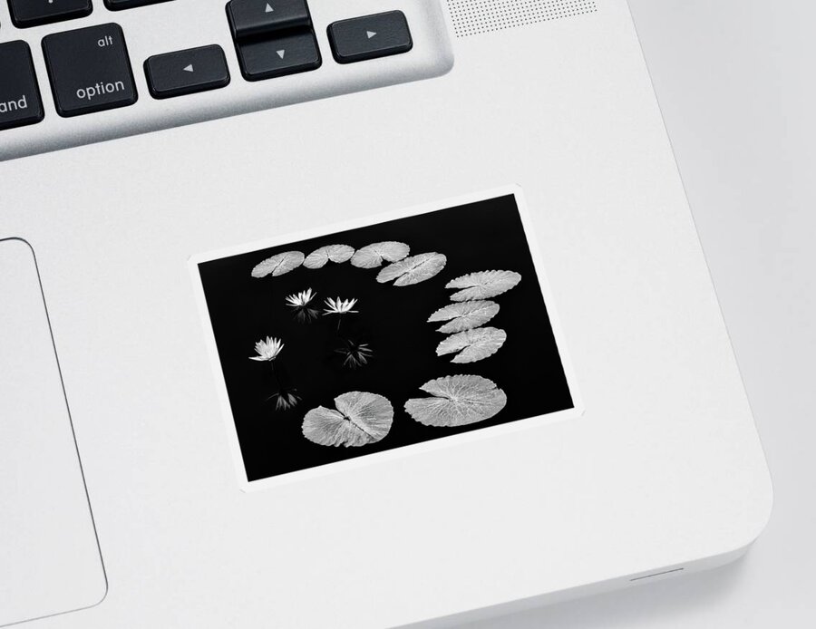 Water Lilies Sticker featuring the photograph Invisible Connection by Elvira Peretsman