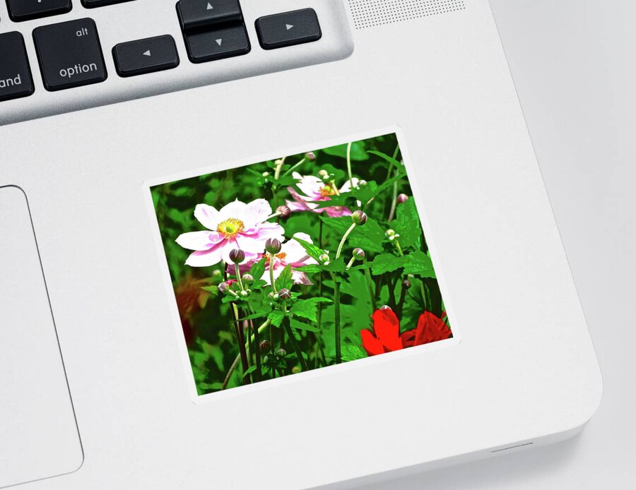 Daisies Sticker featuring the photograph Irish Wildflowers by Stephanie Moore
