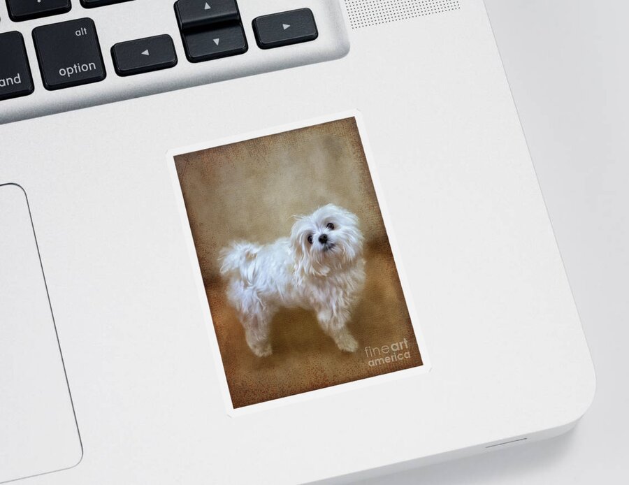 Pet Sticker featuring the digital art Is It Cuddle Time Yet by Lois Bryan