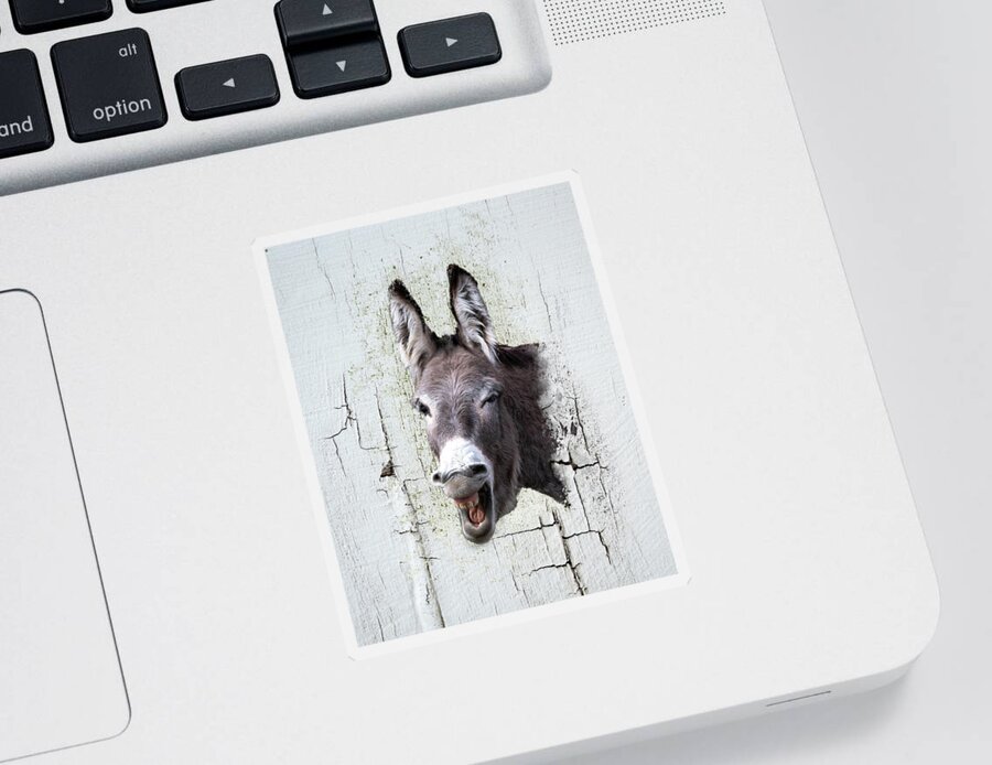 Fine Art Photography Sticker featuring the photograph It's Jack by Mary Hone