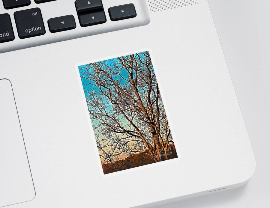 Prints Sticker featuring the photograph Jeff Road Tree facing LEFT in Madison Alabama by Barbara Donovan