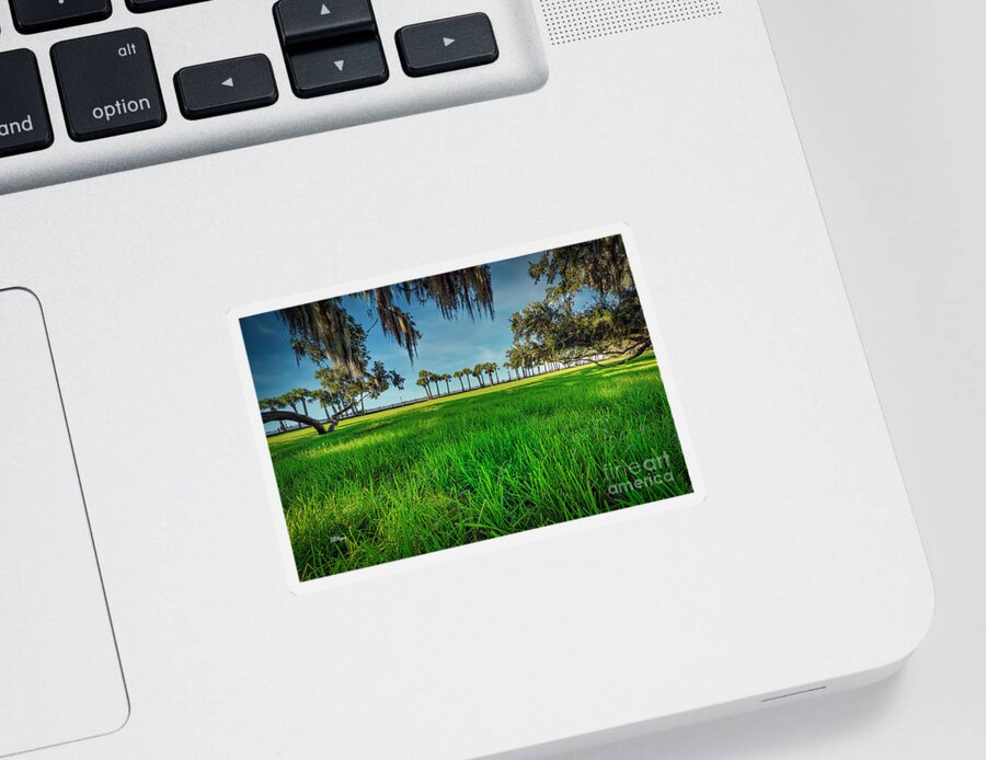 Landscapes Sticker featuring the photograph Jekyll Island Grandeur by DB Hayes