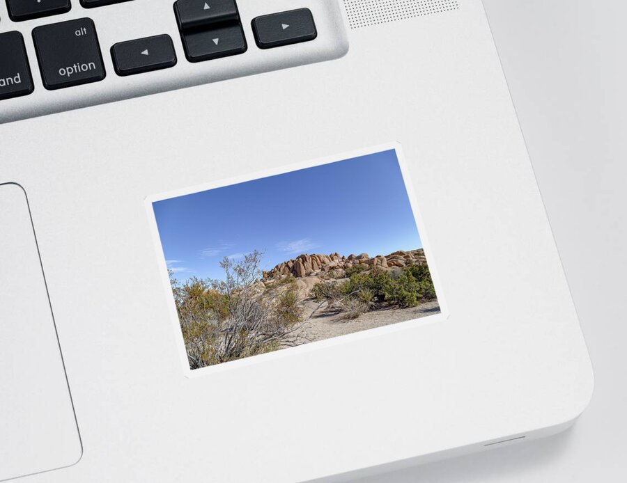 Nature Sticker featuring the photograph Joshua Tree National Park 4 by Cindy Robinson