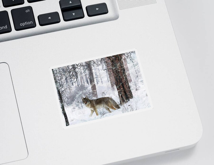 Coyote Sticker featuring the photograph Kai O Ti by Ed Hall
