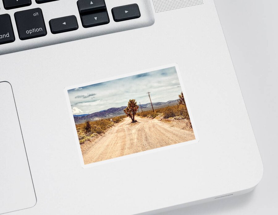 Joshua Tree Sticker featuring the photograph King of the Road by Tatiana Travelways