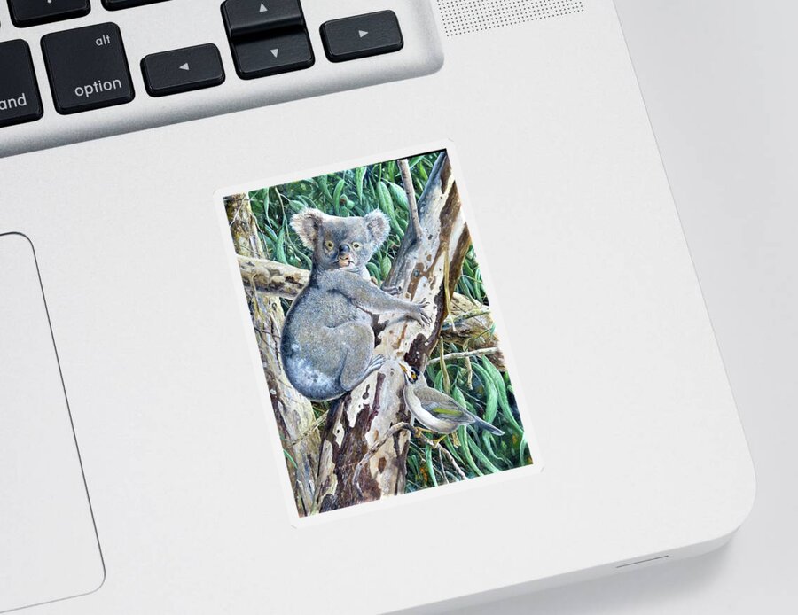 Koala Sticker featuring the painting Koala with Noisy Miner by Barry Kent MacKay