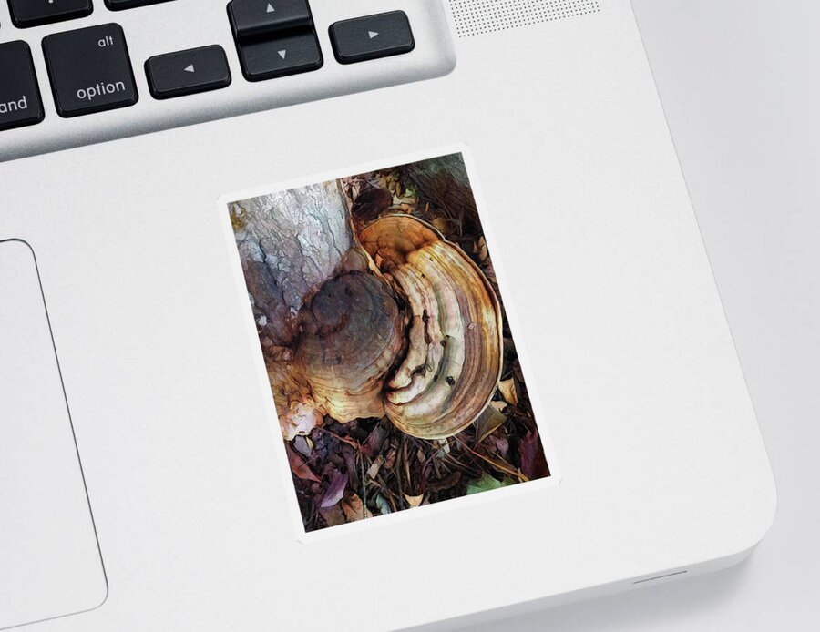 Photo Sticker featuring the photograph Rings Of Fungi by Tim Nyberg