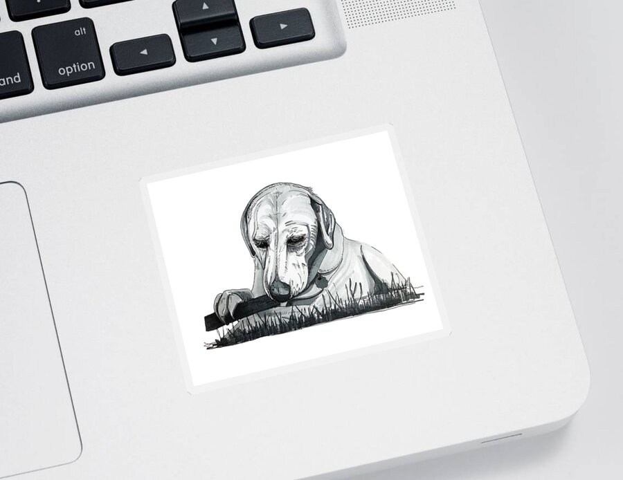 Labrador Sticker featuring the drawing Labrador with Stick by Creative Spirit
