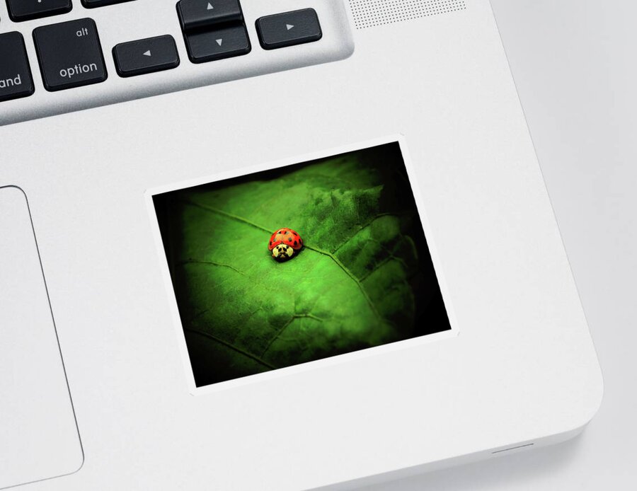 Ladybug Sticker featuring the photograph Angry Bird by Gena Herro