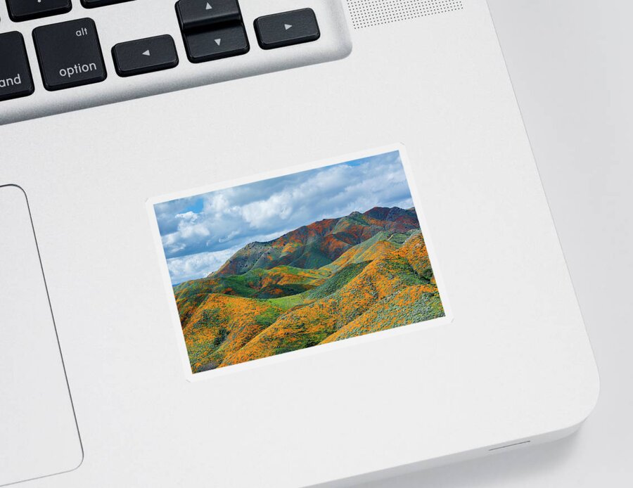 California Poppy Sticker featuring the photograph Lake Elsinore Poppy Hills by Kyle Hanson