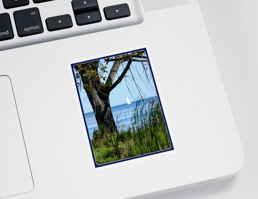 Boat Sticker featuring the photograph Lake Erie calm by Judy Stepanian