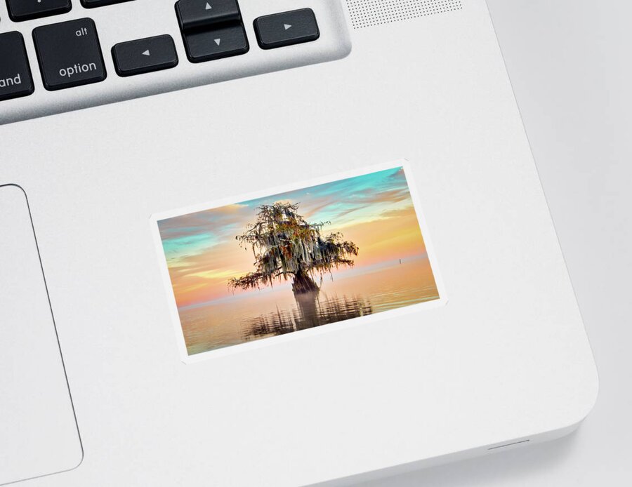 Lake Maurepas Sticker featuring the photograph Lake Maurepas in Pastels by Andy Crawford