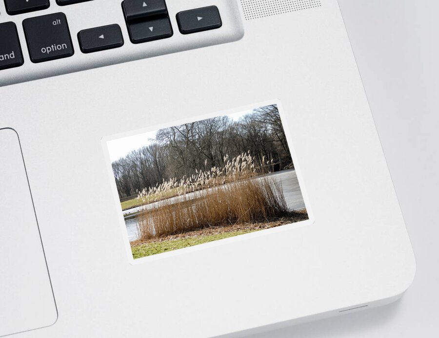 Berlin Sticker featuring the photograph Landscape by Eleni Kouri