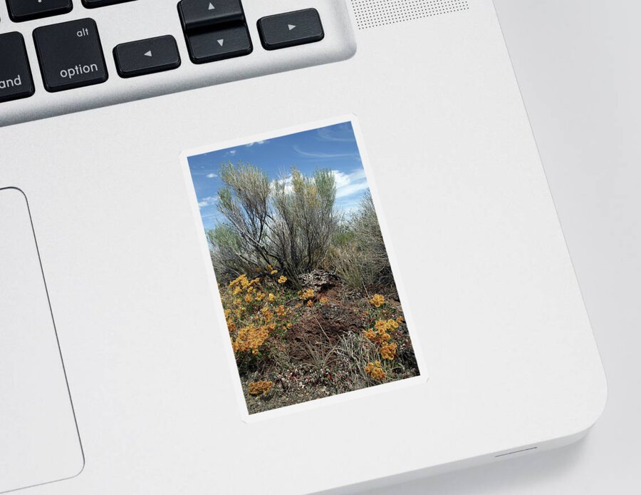 Lava Beds Color Brush Sticker featuring the photograph Lava Beds Color Brush by Dylan Punke