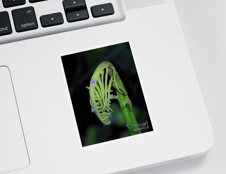 Insect Sticker featuring the photograph Lavender Moths by Marvin Spates