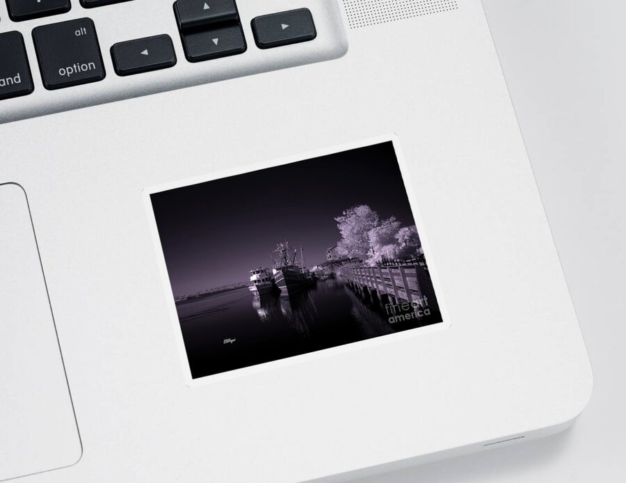 Aquatic Sticker featuring the photograph Lazy Evening - A Black and White Infrared Seascape by DB Hayes