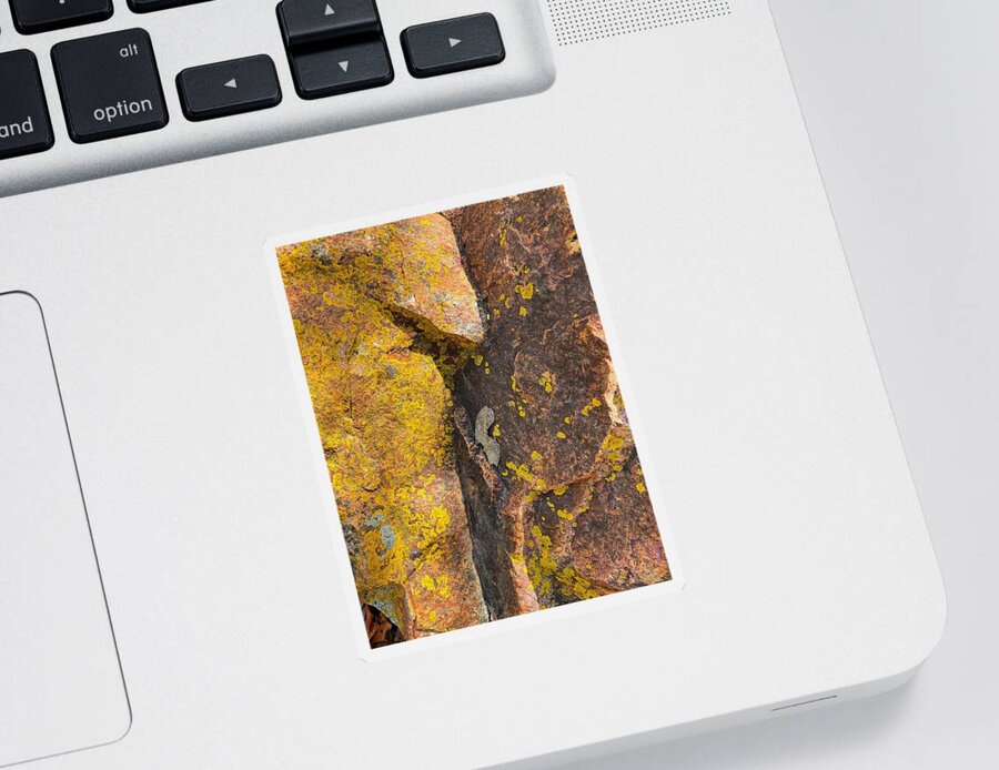 Colorful Rocks Sticker featuring the photograph Leaf on Rock by Jerry Abbott