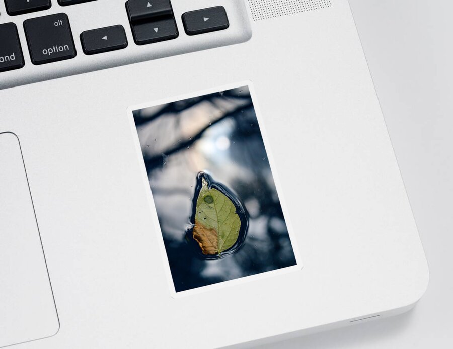 Leaf Sticker featuring the photograph Leaf on Water, Sun Reflected by W Craig Photography