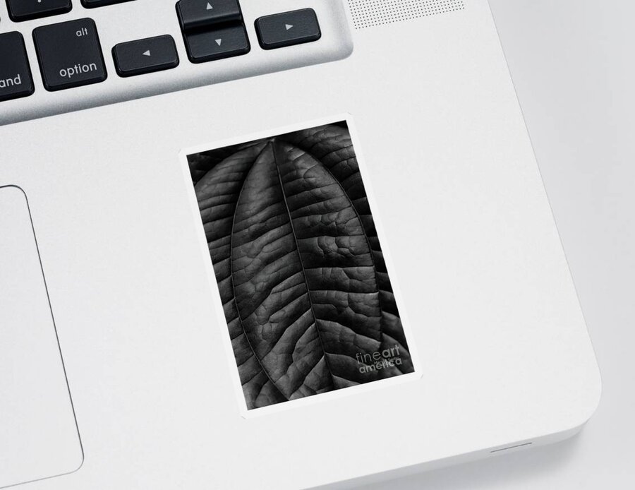Leaf Sticker featuring the photograph Leaf Wrinkles by Marvin Spates