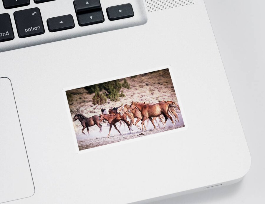 Wild Horses Sticker featuring the photograph Leaving the Waterhole - Palomino Butte Herd by Belinda Greb