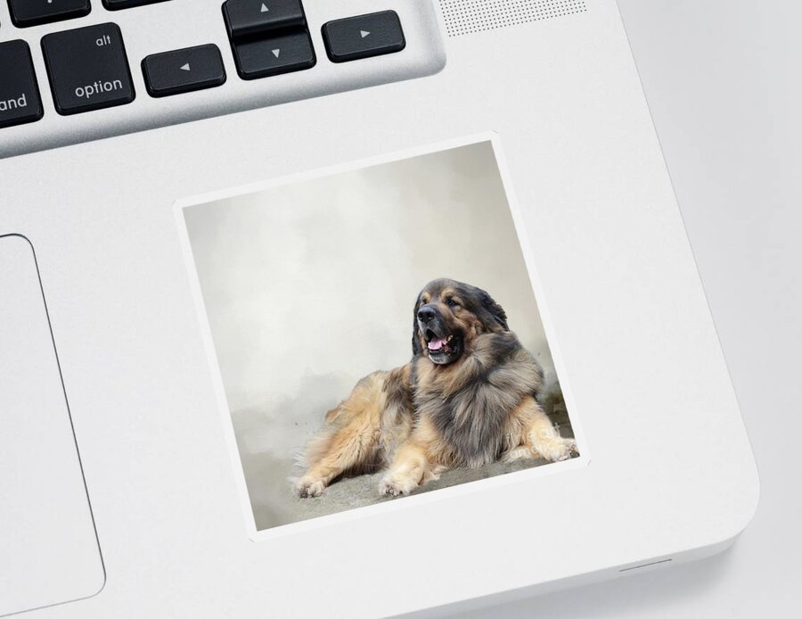 Anton Sticker featuring the photograph Leonberger by Eva Lechner