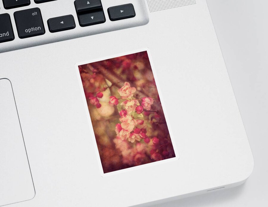 Blossoms Sticker featuring the photograph Let Me Touch Your Soul by Philippe Sainte-Laudy