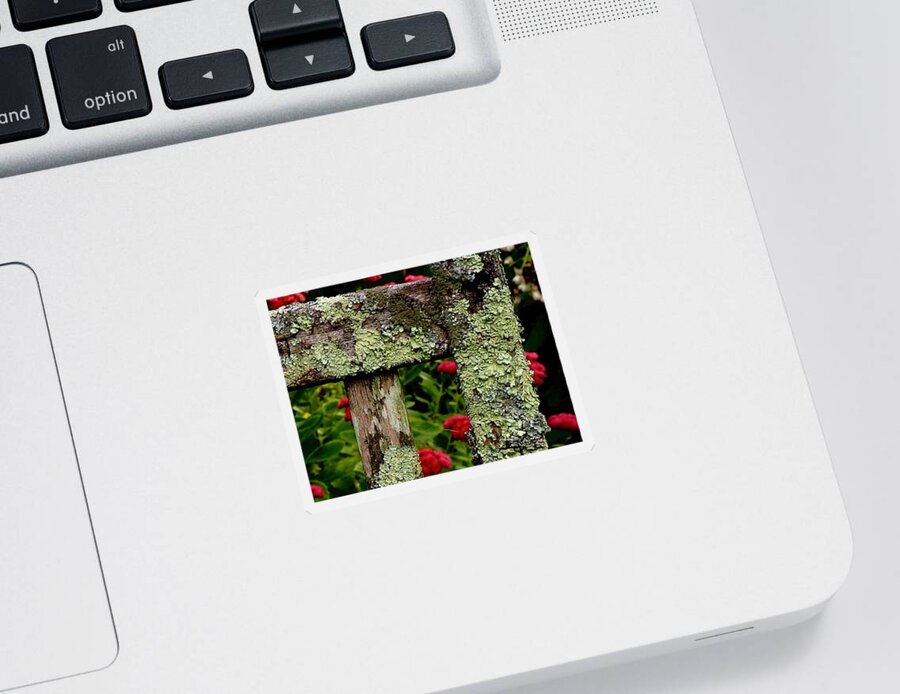 Lichen Sticker featuring the photograph Keeping Company With Lichen by Alida M Haslett