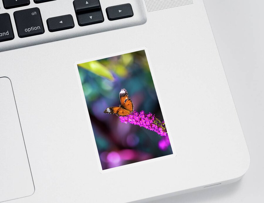 Monarch Butterfly Sticker featuring the photograph Life Is A Rainbow by Az Jackson