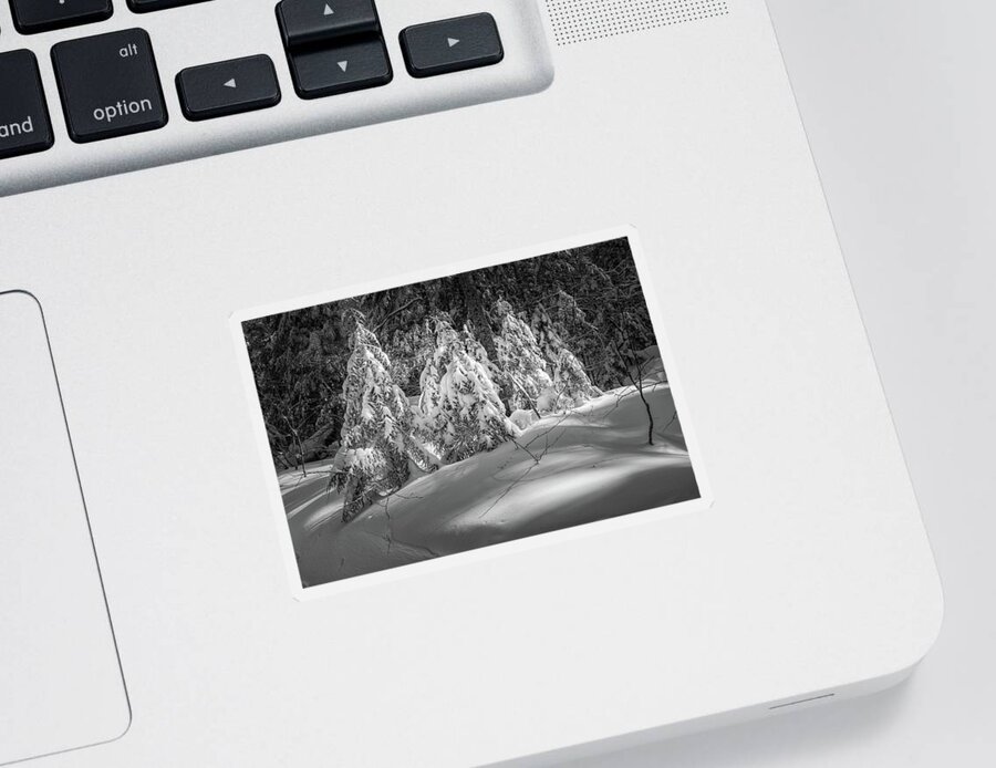 New Hampshire Sticker featuring the photograph Light In The Winter Wood by Jeff Sinon
