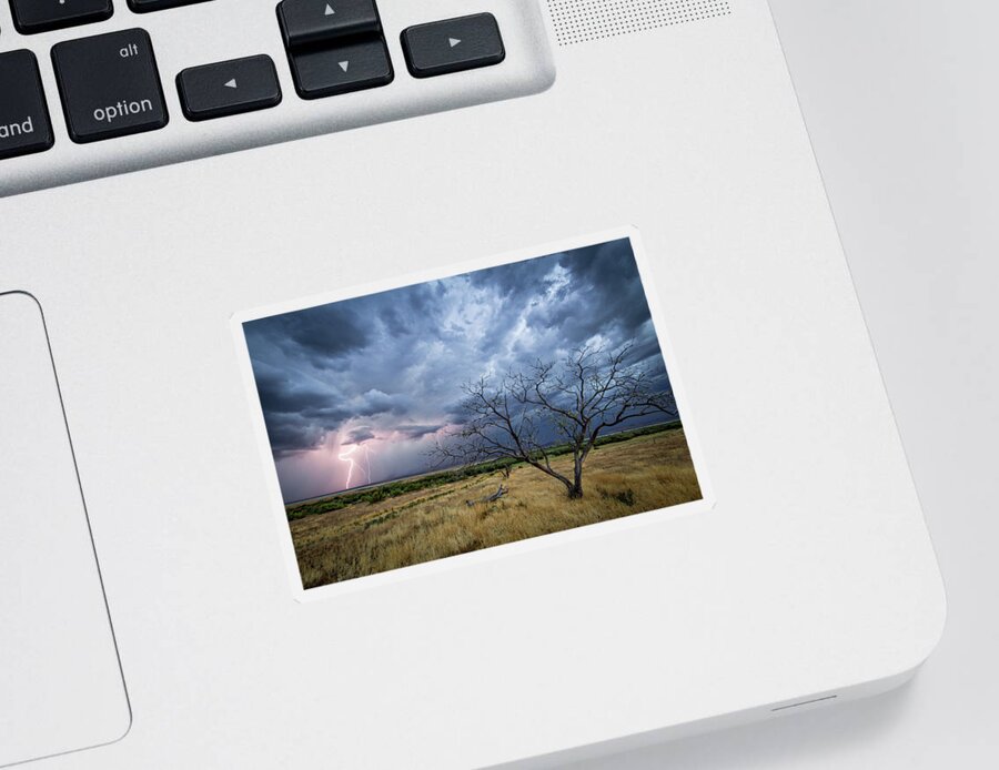 Storm Sticker featuring the photograph Lightning Strike with Tree by Wesley Aston