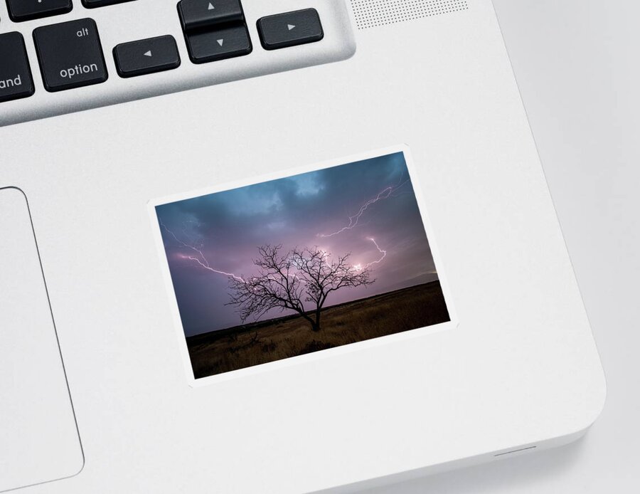 Storm Sticker featuring the photograph Lightning Tree by Wesley Aston