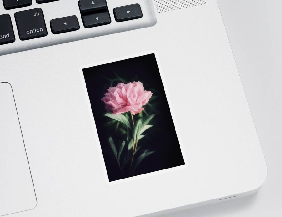 Peony Sticker featuring the photograph Like a Love Story by Philippe Sainte-Laudy