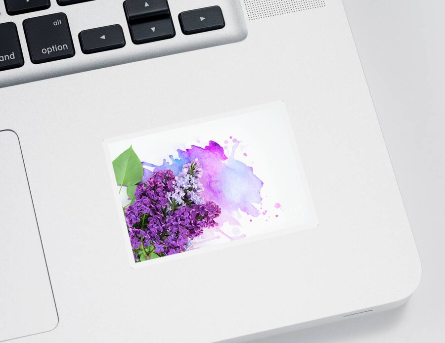 Lilac Sticker featuring the photograph Lilac flowers on watercolor by Anastasy Yarmolovich