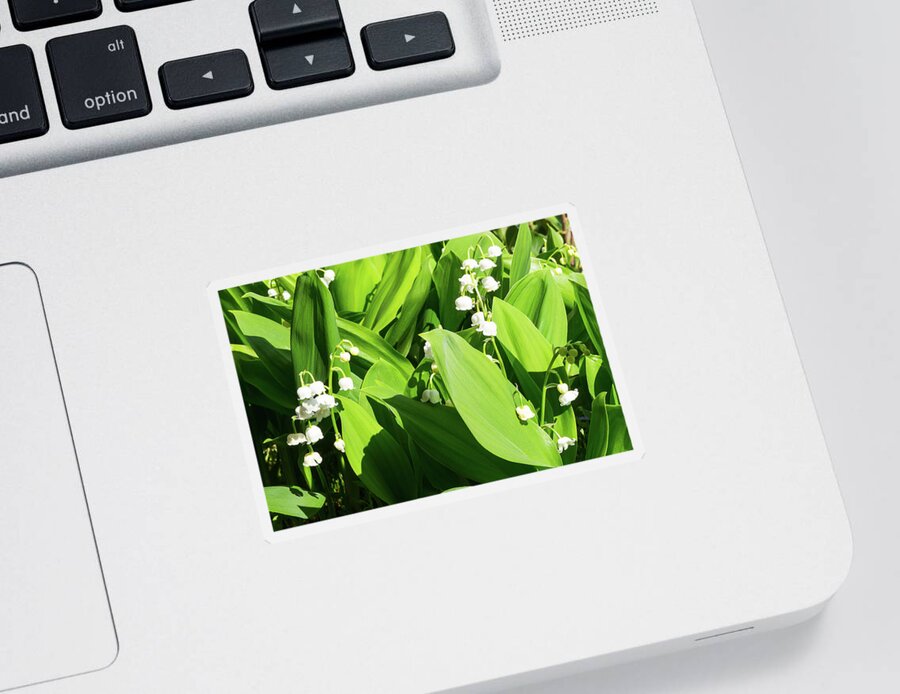 Lily Of The Valley Sticker featuring the photograph Lily of the valley - 6 by Paul MAURICE