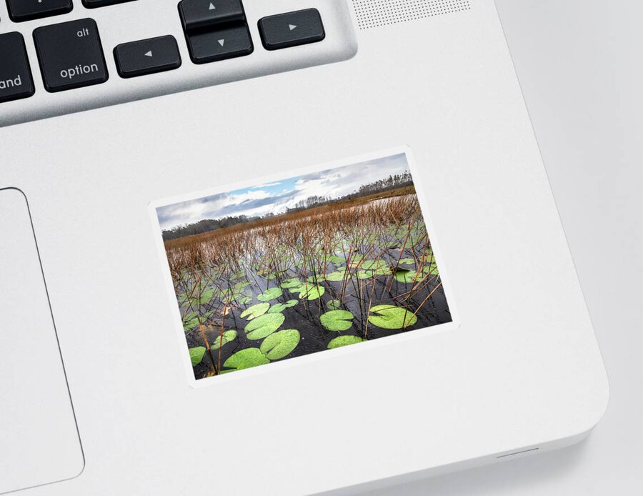 Clouds Sticker featuring the photograph Lilypads Floating in the Rain by Debra and Dave Vanderlaan