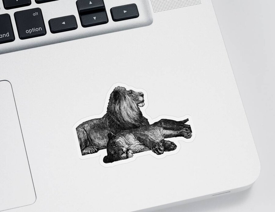 Lion Sticker featuring the digital art Lion and lioness in black and white by Madame Memento
