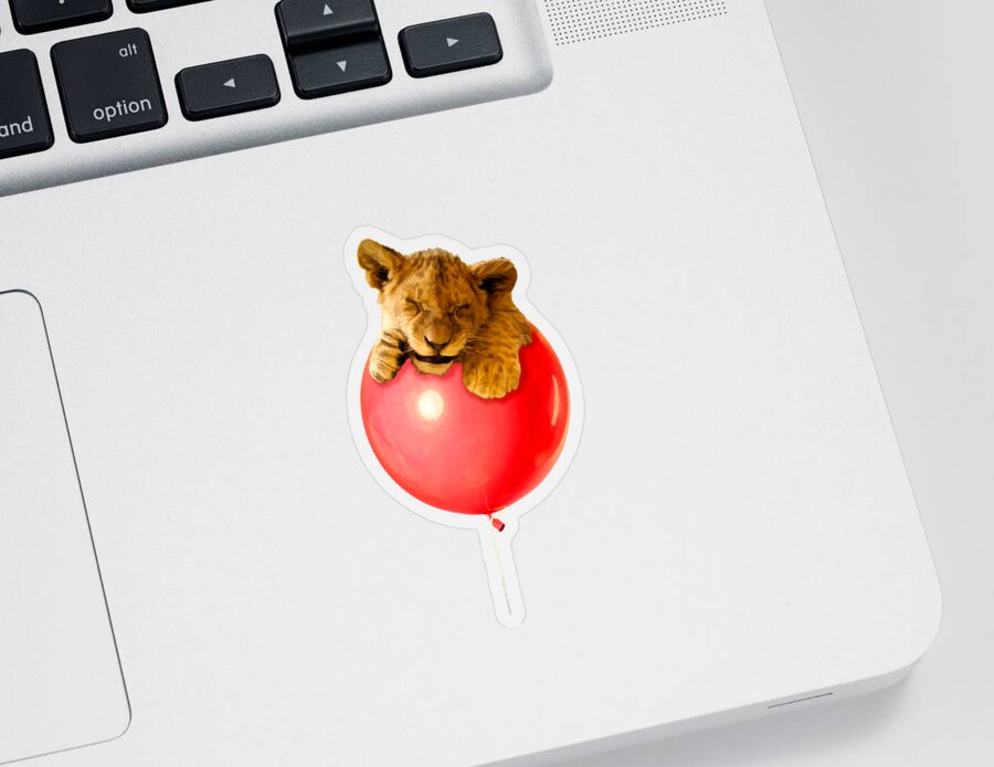 Balloon Sticker featuring the photograph Lion Cub on a Red Balloon by John Haldane
