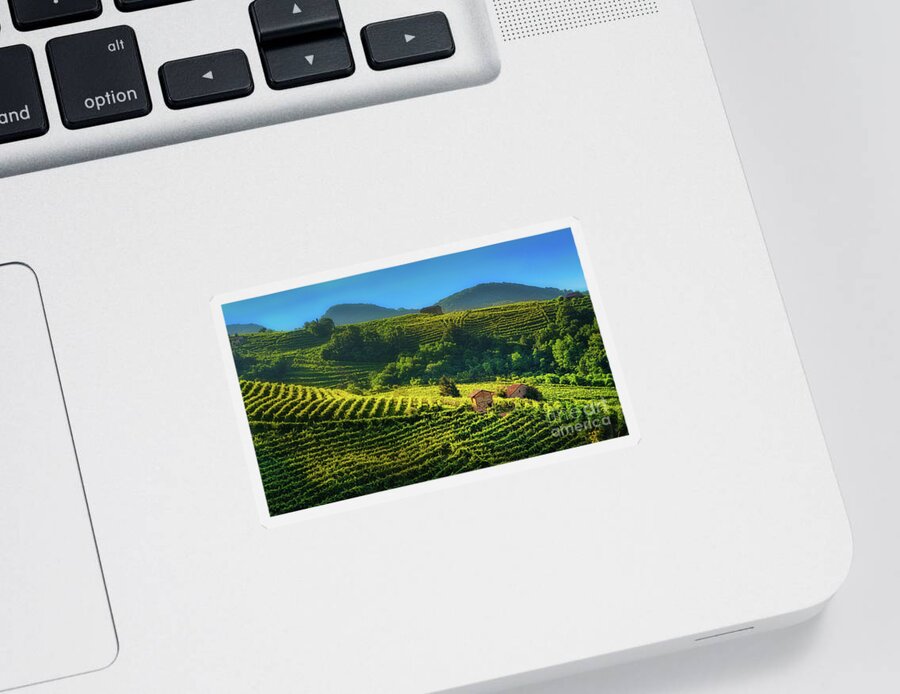 Prosecco Sticker featuring the photograph Little houses in the vineyard by The P