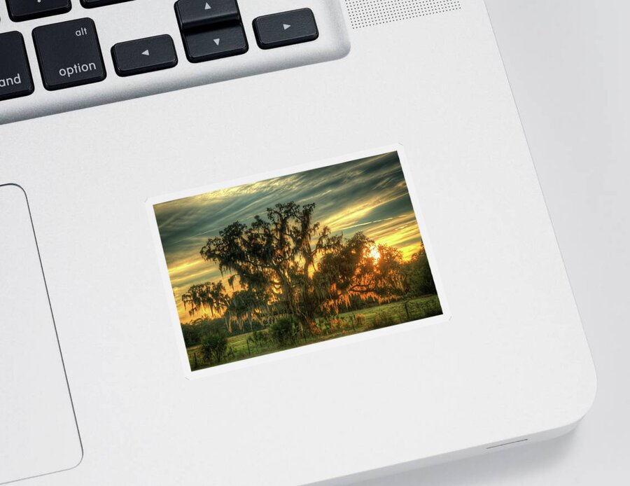 Oak Sticker featuring the photograph Live Oak Sunset by Doug McPherson
