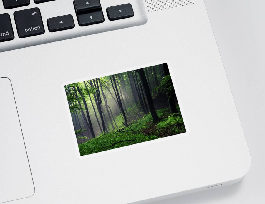 Mist Sticker featuring the photograph Living Forest by Evgeni Dinev