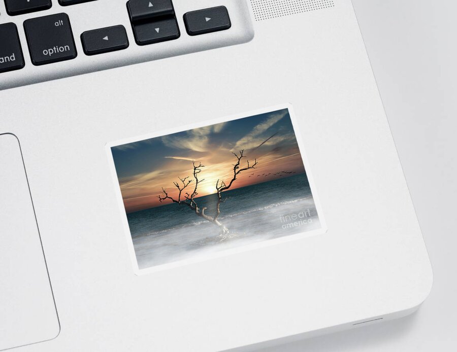 Dead Tree Sticker featuring the photograph Lone Tree by Ed Taylor